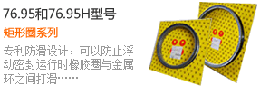 浮動(dòng)密封產(chǎn)品展示