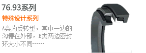 浮動(dòng)油封產(chǎn)品展示